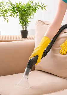 Upholstery Cleaning